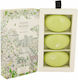 Woods Of Windsor White Jasmine Μπάρες Σαπουνιού 3x180gr