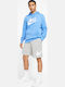 Sports Men's Grey Shorts