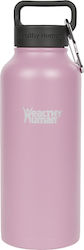 Healthy Human Healthy Human Stein Bottle Recycl...