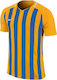 Nike Striped Division III JSY Men's Football Jersey