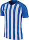 Nike Striped Division III Men's Football Jersey