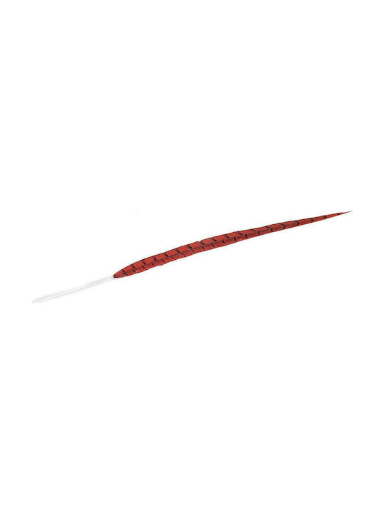 Espiel Decorative Feather Red 70cm 1pcs