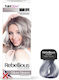 Paintglow Rebellious Semi Permanent Haarfärbemittel Προσωρινή Βαφή Μαλλιών kein Ammoniak Silver Storm 70ml