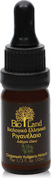 Bio Land Organic Essential Oil Oregano with Dropper 10ml