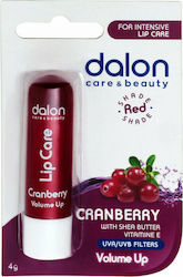 Dalon Beauty Lippenpflege Balsam 4gr Dalon Beauty Lippenpflege Balsam 4gr