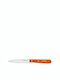 Opinel N° 113 Les Essentiels General Use Knife of Stainless Steel 10cm 001921