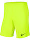 Dry Park III Sports Men's Shorts Dri-Fit Green