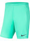 Dry Park III Αθλητική Ανδρική Βερμούδα Dri-FIT Light Green