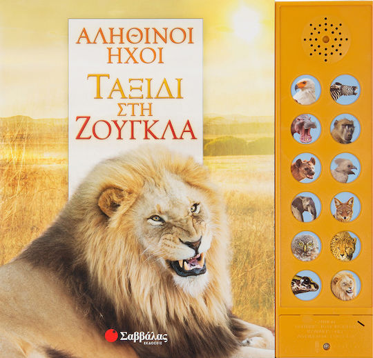 Ταξίδι στη Ζούγκλα