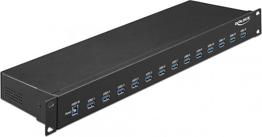DeLock Hub 13 Θυρών USB 3.1 με σύνδεση USB-A