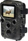 Denver Hunting Camera with Motion Detection