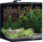 Dennerle Nanocube Basic 60 Fish Aquarium Capacity 60lt with Lighting, Filter and 43x38x38cm.