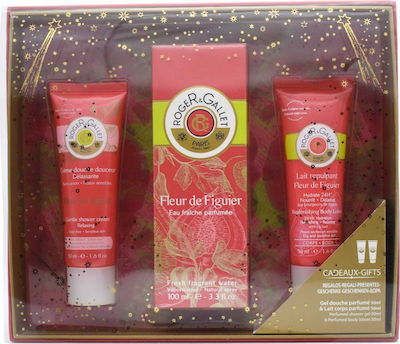 figuier gallet fleur skroutz  