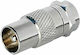 Edision F-Stecker männlich zu Koaxial männlich Silber 1Stück 07-00-0101
