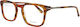 Calvin Klein Γυναικείος Σκελετός Καφέ Ταρταρούγα CK7979 224