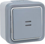 Legrand Plexo 0697 External Electrical Lighting Wall Switch no Frame Basic Aller Retour Illuminated Waterproof Gray