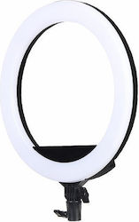 Ring Light LED Ring Light 35.60cm with Mobile Holder