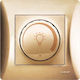 Lineme Recessed LED Front Dimmer Switch Rotary 200W Gold