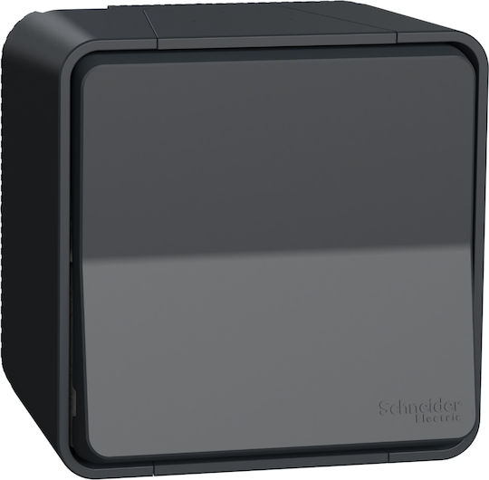 Schneider Electric Mureva Styl Waterproof Wall-Mounted Electrical Wall Switch One-Way with Aller Retour Frame Anthracite
