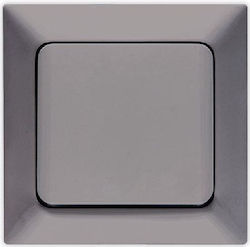 Eurolamp Recessed Electrical Lighting Wall Switch with Frame Basic Smoked 152-12300