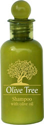 Amari Olive Tree Hotel Shampoo 40ml 250pcs