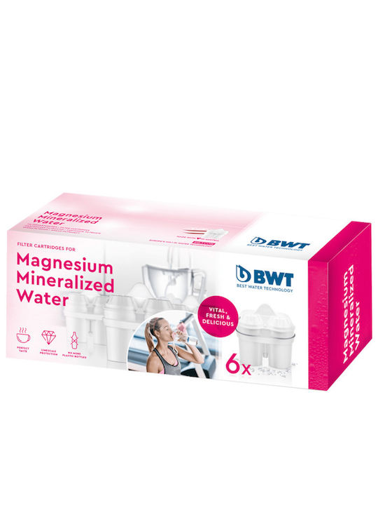 BWT Water Filter Replacement for Pitcher Magnesium 6pcs