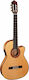 Almansa Flamenco 447 CT E2