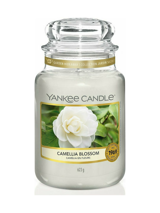 Yankee Candle Scented Candle Jar with Scent Camelia Blossom White 623gr 1pcs