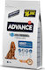 Advance Advance Adult Medium 14kg Trockenfutter für erwachsene Hunde mittlerer Rassen mit Huhn und Reis