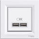 Schneider Electric Power Socket with 2 USB Ports White