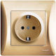 Lineme Single Flush Power Socket Gold