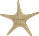 Inart Desktop Decoration Garden Ceramic Starfish Gold 27x265x5cm 27cmx26.5cmx5cm 4-70-117-0007