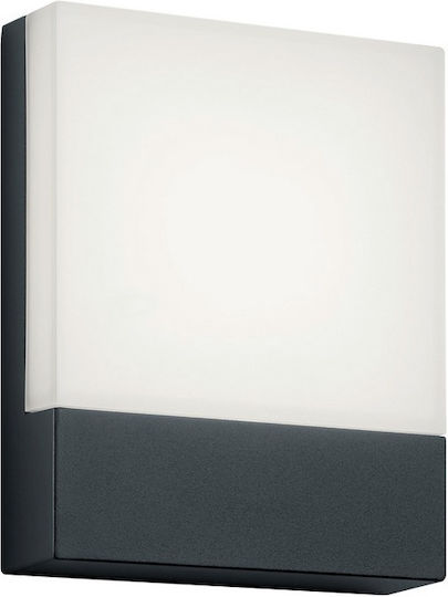 Trio Lighting Pecos Таванна Лампа LED 6W 3000K 16x20см Trio Lighting Pecos Таванна Лампа LED 6W 3000K 16x20см