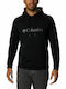 Csc Basic Logo Ii Sweatshirt With Hood Black