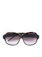 Iceberg Women's Sunglasses with Brown Plastic Frame IC592 03