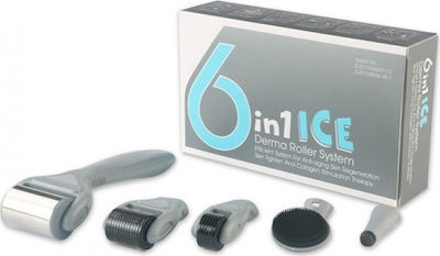 Ekai Technology 6 in 1 Ice Derma Roller 0.5-2mm για Αντιγήρανση