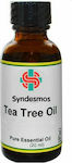 Syndesmos Tea Tree Oil Essential Oil Tea Tree 20ml