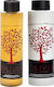 Papoutsanis Olivia Colored Hair Haarpflegeset für gefärbtes Haar mit Shampoo 2Stück
