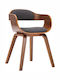 Dining Room Wooden Armchair Black 49x51x70cm