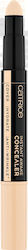 Catrice Cosmetics Instant Awake Concealer 002 N...