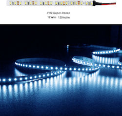 Adeleq LED Strip Power Supply 12V with Blue Light Length 5m and 120 LEDs per Meter SMD3528