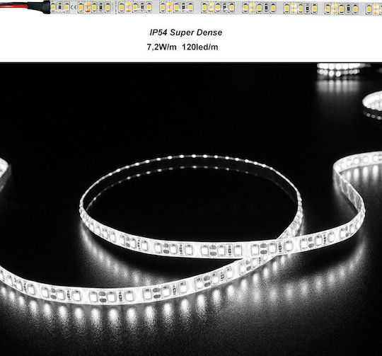 Adeleq LED Strip 12V Natural White Light 5m Type SMD3528