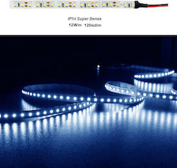 Adeleq Ταινία LED Μπλε 5m SMD3528 12V