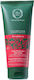 Fresh Line Porphyra Shampoos für Gefärbt Haare ...