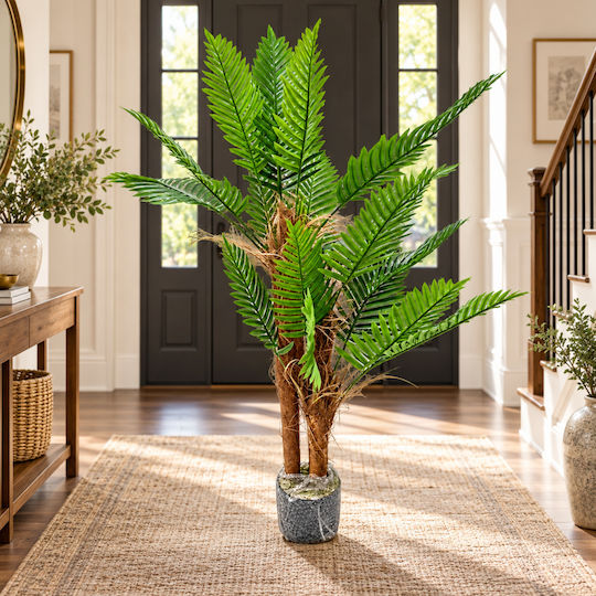 Marhome Außenbereich Palme Marhome Außenbereich Palme