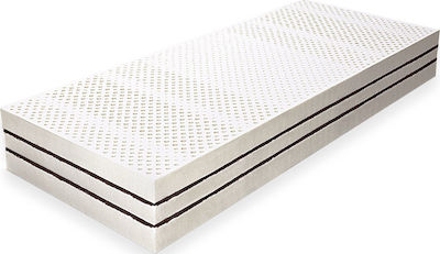 Bed & Home Cocolatex Organic Cotton Διπλό Ανατομικό Στρώμα Latex χωρίς Ελατήρια 140x200x21cm με Κοκοφοίνικα