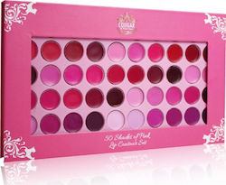 Cougar Beauty 50 Shades Of Pink Lip Contour Palette