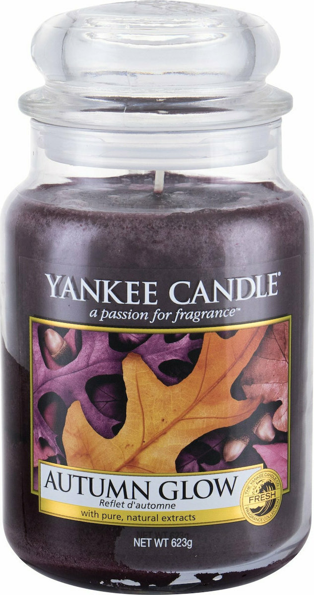 Yankee Candle Αρωματικό Κερί σε Βάζο Autumn Glow 10.7x16.8cm 623gr