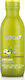 Alea Greasy Hair Σαμπουάν για Όλους τους Τύπους Μαλλιών 500ml