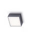 Rendl Light Studio BONO Плафониера за Външен Таван с Вградено LED в Сив Цвят R11967